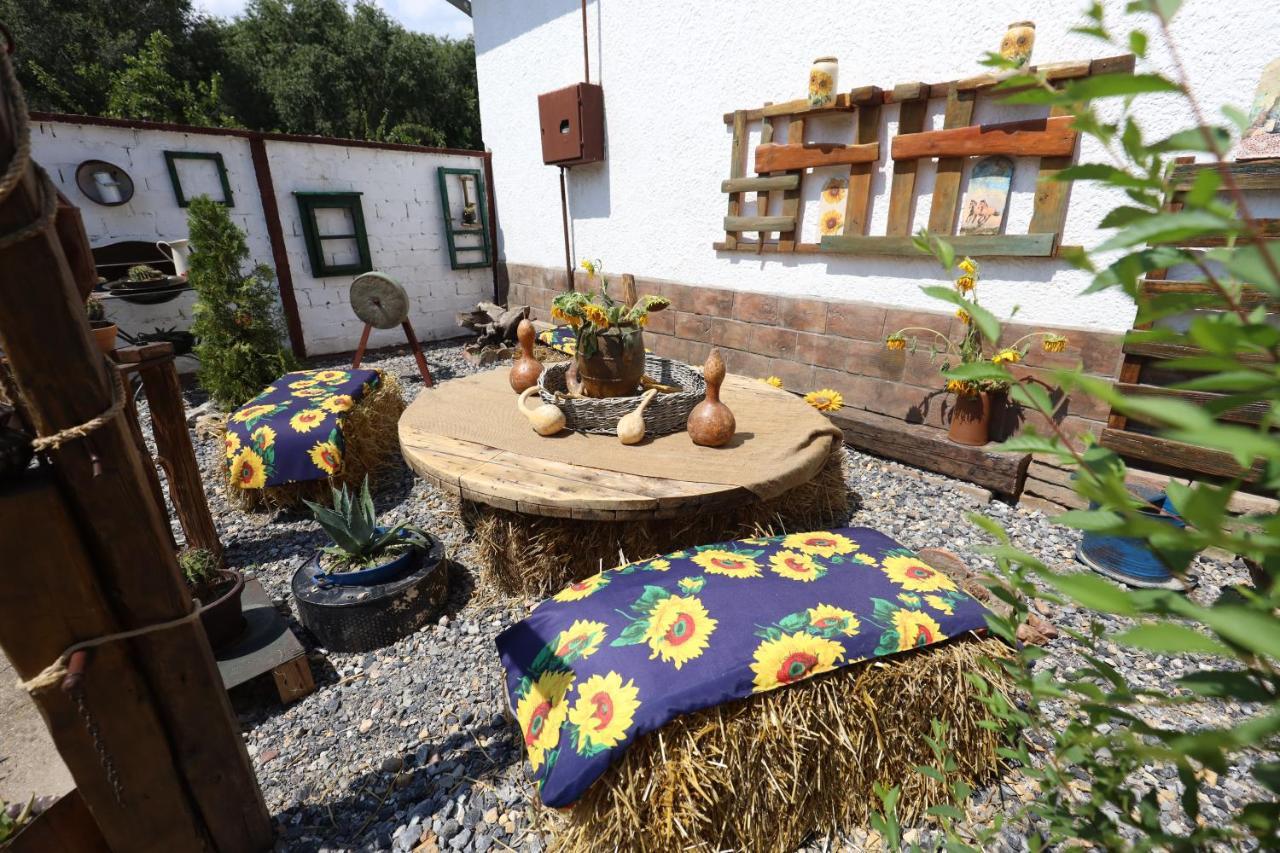 Etno Kuca Teodora Bed & Breakfast Stajicevo Ngoại thất bức ảnh