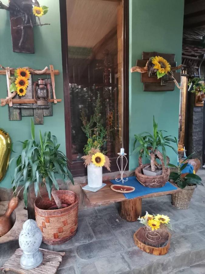 Etno Kuca Teodora Bed & Breakfast Stajicevo Ngoại thất bức ảnh