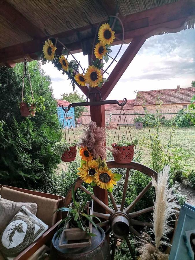 Etno Kuca Teodora Bed & Breakfast Stajicevo Ngoại thất bức ảnh